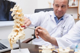 gallery/osteopath-pointing-spine-inflammation-model-medical-office_1098-18701