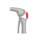 gallery/prosthetics-icons-set-cartoon-style_96318-4561
